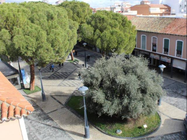 Piso en venta en Daimiel, Daimiel