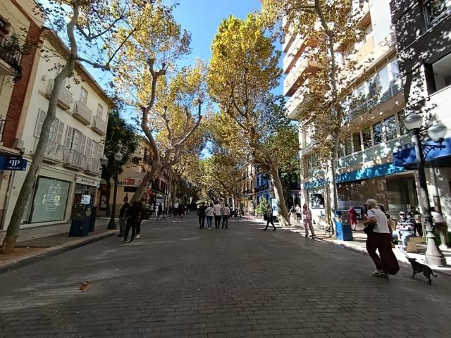 Piso en venta en Dénia, Centro Urbano. Pisos.
