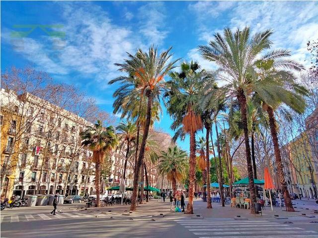 Piso en Venta en El Raval