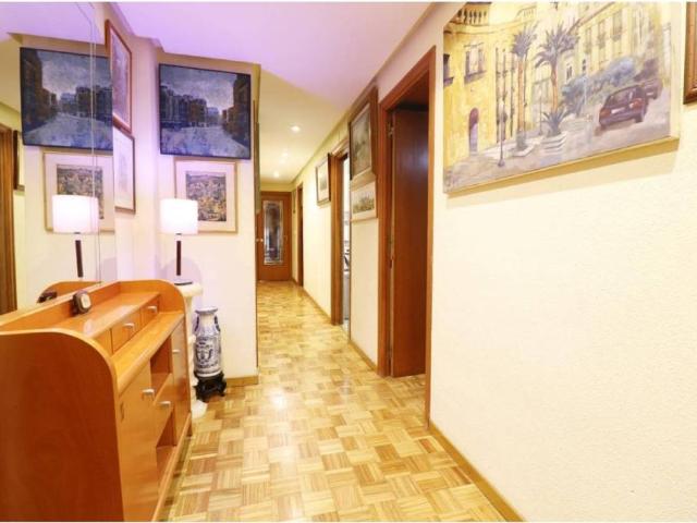 Piso en Alquiler en Elche Elx