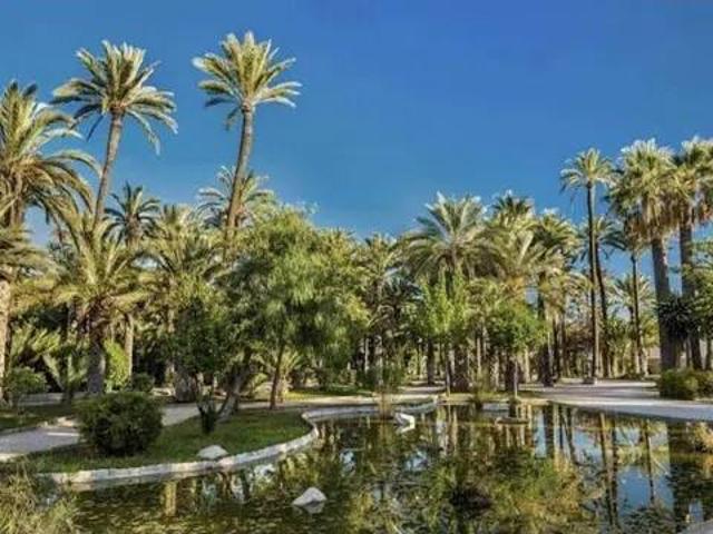 Piso en Venta en Elche Elx