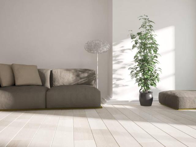 Piso en Venta en Ferrol Vello Puerto