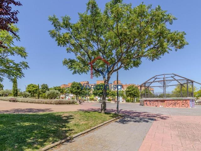 Piso en venta en Guadalajara, Las Lomas Salinera La Muñeca. Venta de piso con 3 dormitorios en Las Lomas Guadalajara. Pisos.