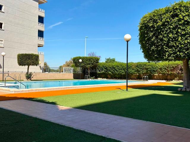 Piso en venta en Guardamar del Segura, Puerto Deportivo. Apartamento en la 8. ª planta con vistas al mar y al río en Guardamar del Segura. Pisos Guardamar del.