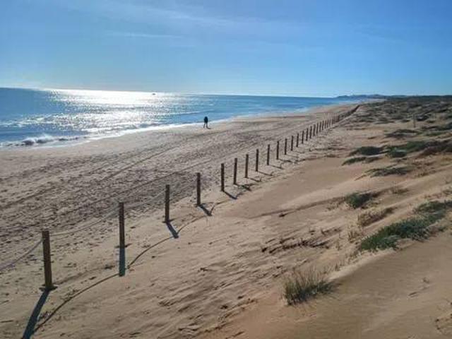 Piso en Venta en Guardamar del Segura