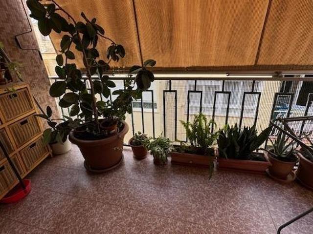 Piso en venta en Gandia, Centro Histórico