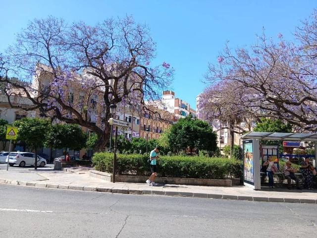 Piso en Venta en Gibralfaro