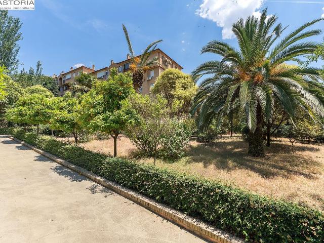 Piso en venta en Granada, San Francisco Javier. AMPLIO PISO EN AVENIDA DE PULIANAS CERCADO DE MIRAFLORES. Pisos.