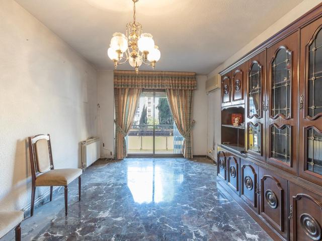 Piso en venta en Granada, Pajaritos. PISO DE 3 DORMITORIOS EN CAMINO DE RONDA, JUNTO A VILLAREJO. Pisos.