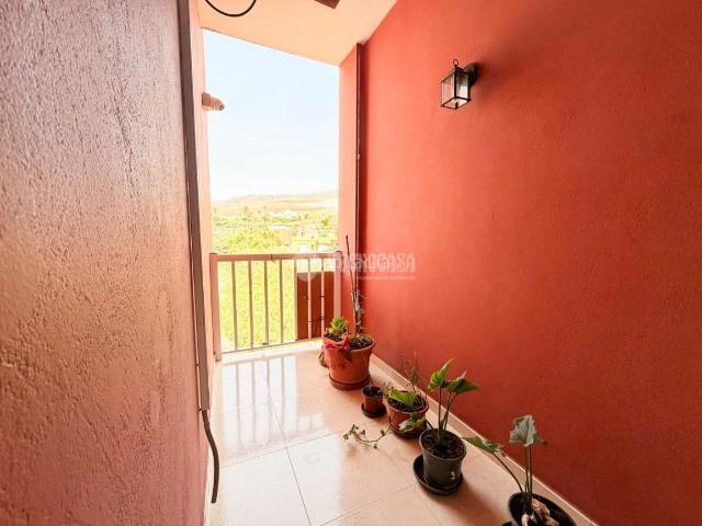 Piso en venta en Ingenio, Ingenio pueblo. Piso en venta en Ingenio. Pisos.