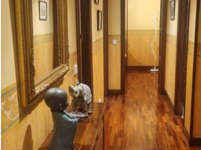 Piso en Venta en Irun