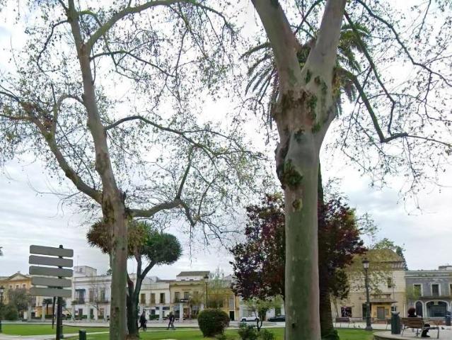 Piso en venta en Jerez de la Frontera, Centro. VENTA EN CONDICIONES ESPECIALESCESIÓN DE CRÉDITO. ACTIVO SIN POSESIÓN, NO HIPOTECABLE. Pisos Jerez de la.