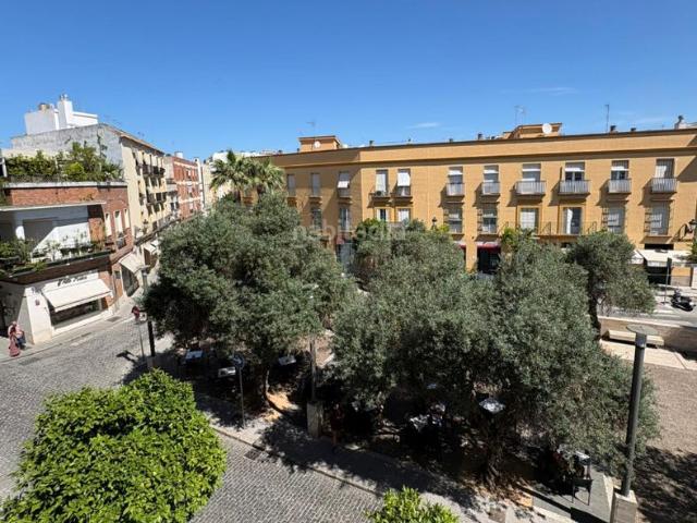 Piso en venta en Jerez de la Frontera, Centro. ESPECTACULAR PISO EN CENTRO DE JEREZ. Pisos Jerez de la.