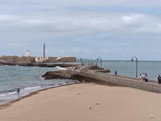 Piso en Venta en La Caleta La Viña