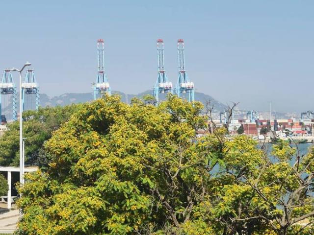 Piso en Venta en La Reconquista El Rosario