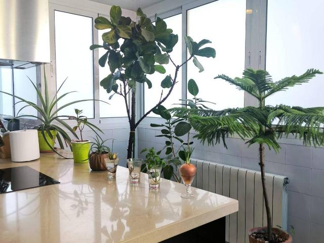 Piso en Venta en Llefià