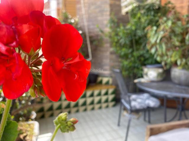 Piso en venta en Lleida, Príncep de Viana Clot Xalets Humbert Torres. VIVIENDA SEÑORIAL EN EL CORAZÓN DE LA CIUDAD. Pisos.