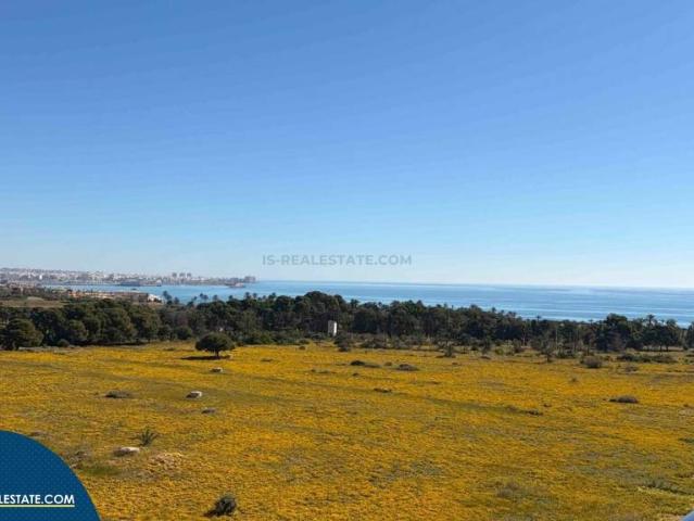 Piso en Venta en Punta Prima