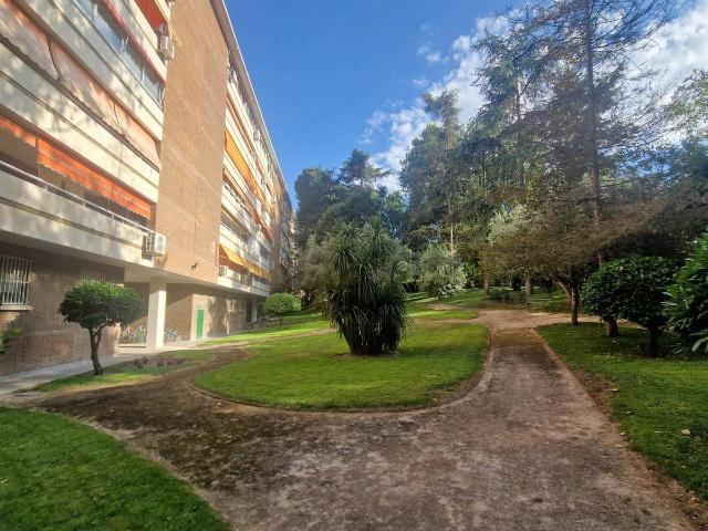 Piso en Venta en Palomas