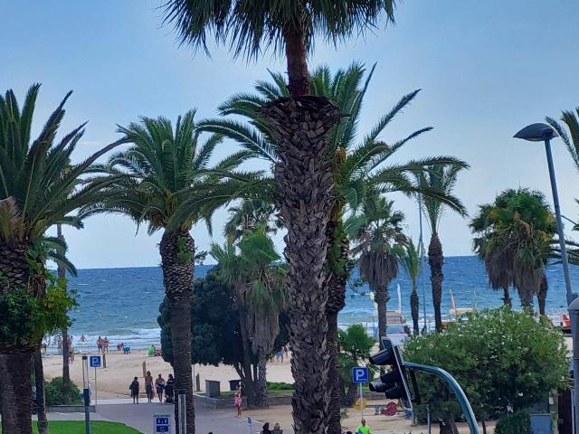 Piso en venta en Paseo Jaime I con vistas mar