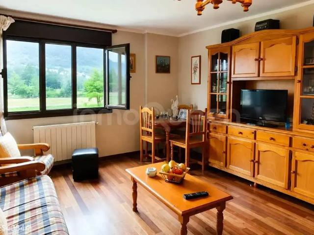Piso en Venta en Peñamellera Baja