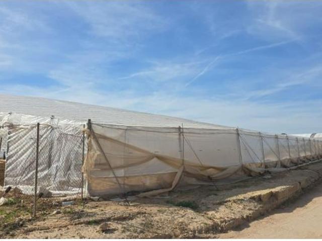 Piso en Venta en Pilar de la Horadada, Alicante