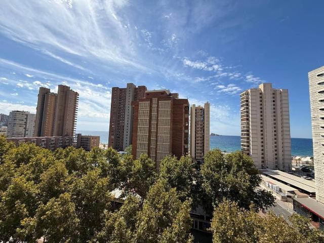 Piso en Venta en Playa Levante