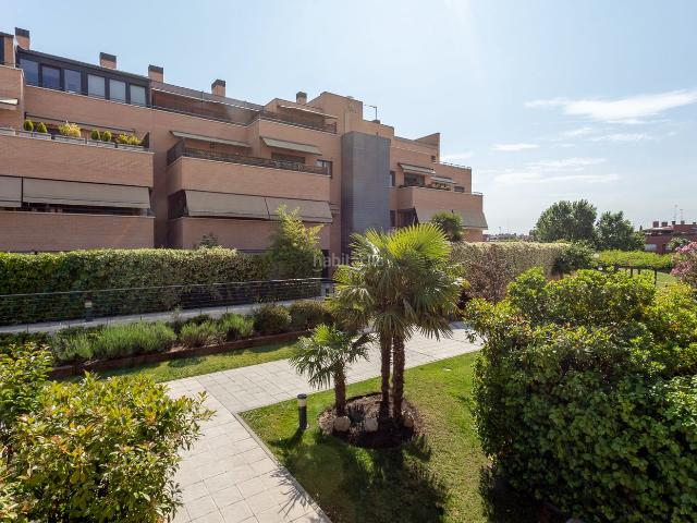Piso en venta en Rozas de Madrid Las, El Cantizal. Piso en Monterrozas El Cantizal. Pisos Rozas de Madrid.