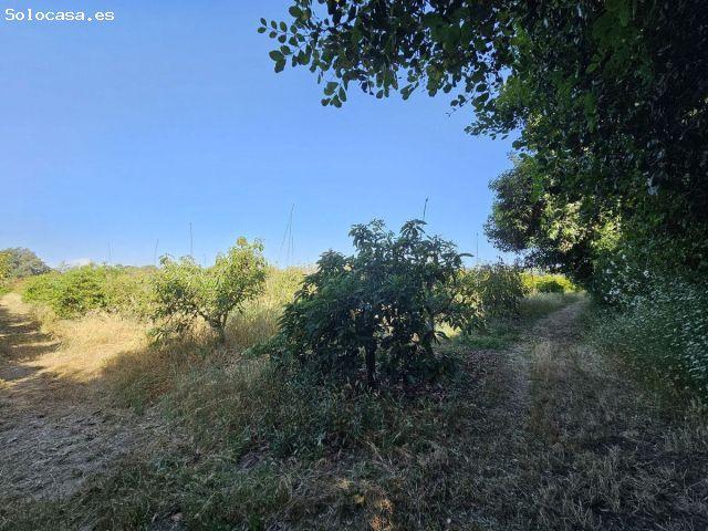 Piso en Venta en San Martin del Tesorillo, Cádiz