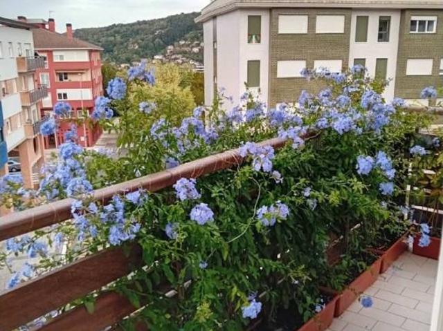 Piso en Venta en San Sebastián Donostia