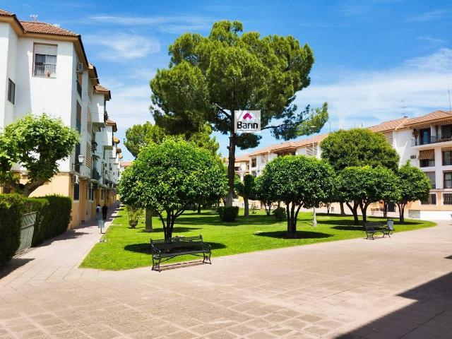 Piso en Venta en Santa Rosa Valdeolleros