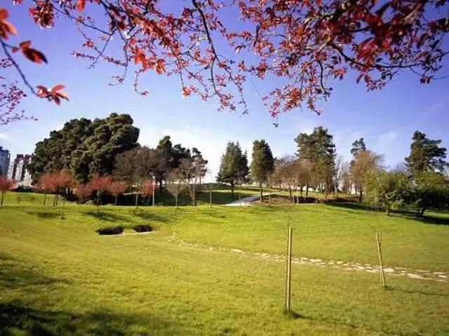 Piso en Venta en Santiago de Compostela