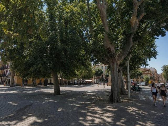 Piso en venta en Sevilla, Centro