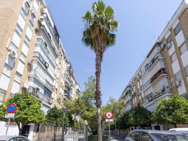 Piso en venta en Sevilla, El Torrejón El Cerezo. Encantador piso totalmente reformado en Distrito Macarena. Pisos.