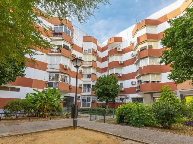 Piso en venta en Sevilla, La Oliva. Piso en planta baja en Nuestra Señora de la Oliva. Pisos.