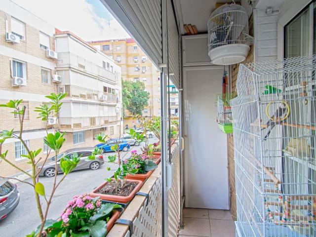 Piso en venta en Sevilla, La Plata. Magnifico piso en venta c Águila Blanca. Pisos.