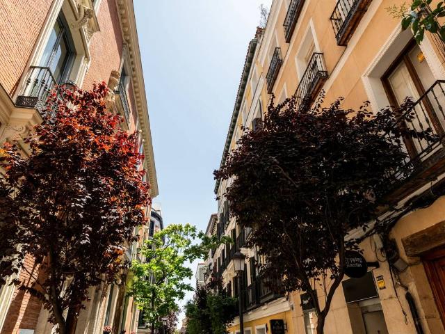 Piso en Venta en Sol
