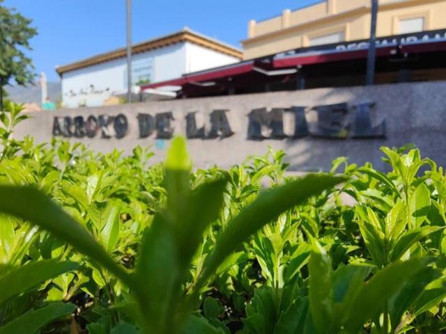 Piso en Venta en Solymar