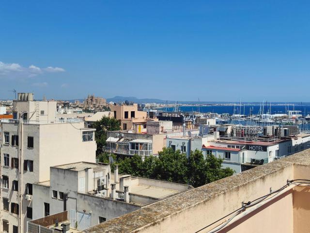 Piso en venta en Son Armadams