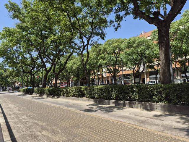 Piso en Venta en Torre roja Campreciós