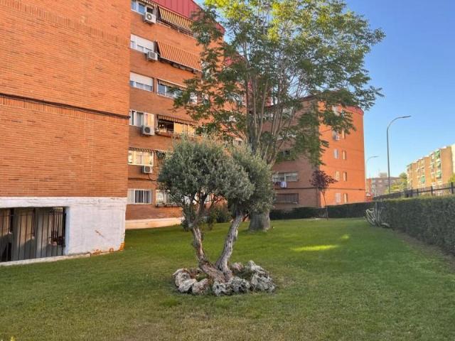 Piso en venta en Torrejón de Ardoz, TORREPISTA