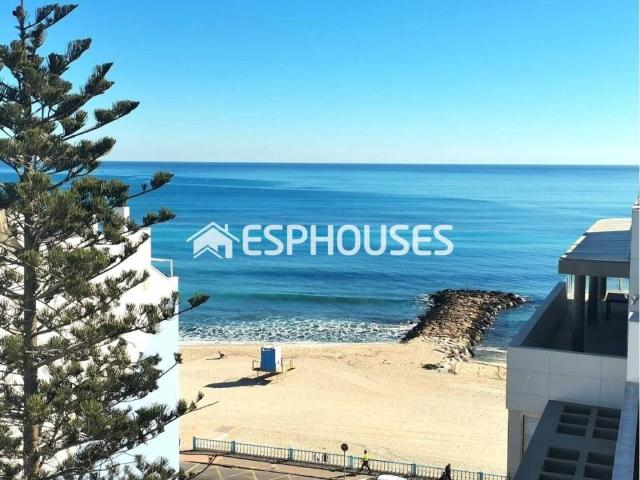 Piso en Venta en Torrevieja