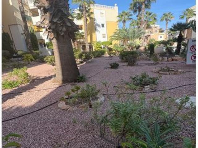 Piso en Venta en Torrevieja, Alicante