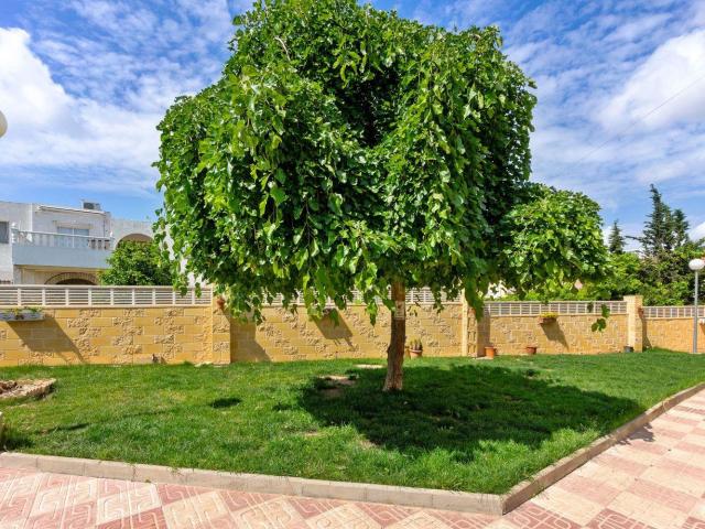 Piso en venta en Torrevieja Alicante