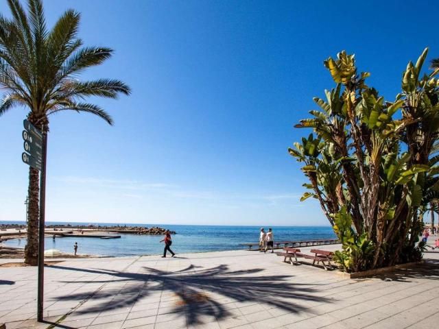 Piso en venta en Torrevieja Alicante