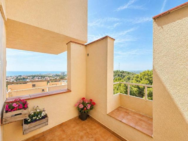 Piso en Venta en Vallpineda Rocamar