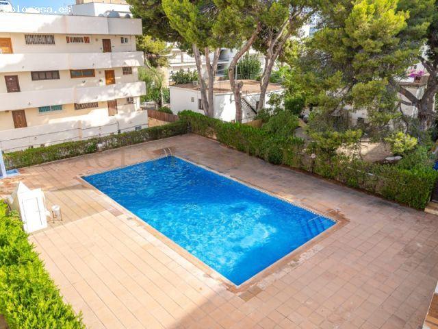 Piso en Venta, Palmanova, Calviá, Inmobiliaria Agents & Brokers Investment