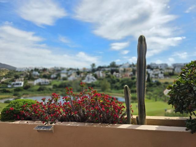 Piso, Estepona
