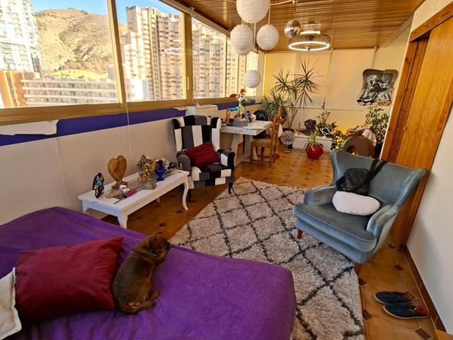 PISO FAMILIAR EN BENIDORM