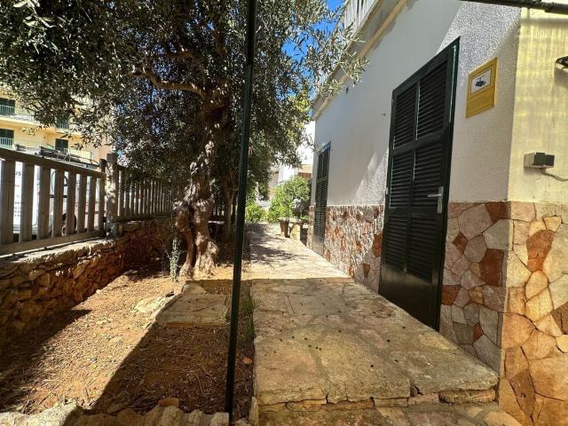 Piso, Felanitx
